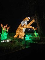 Magische Lichterwelten in Halle Bild: Magische Lichterwelten in Halle
