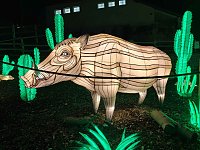 Magische Lichterwelten in Halle Bild: Magische Lichterwelten in Halle