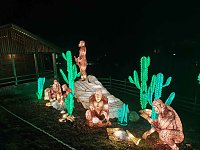 Magische Lichterwelten in Halle Bild: Magische Lichterwelten in Halle