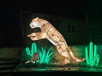 Magische Lichterwelten in Halle Bild: Magische Lichterwelten in Halle