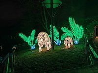 Magische Lichterwelten in Halle Bild: Magische Lichterwelten in Halle