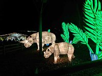 Magische Lichterwelten in Halle Bild: Magische Lichterwelten in Halle