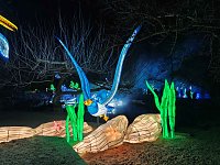 Magische Lichterwelten in Halle Bild: Magische Lichterwelten in Halle