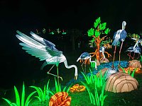Magische Lichterwelten in Halle Bild: Magische Lichterwelten in Halle