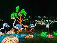 Magische Lichterwelten in Halle Bild: Magische Lichterwelten in Halle