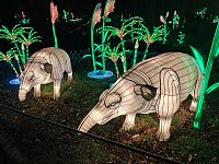 Magische Lichterwelten in Halle Bild: Magische Lichterwelten in Halle