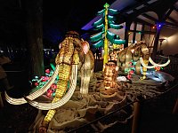 Magische Lichterwelten in Halle Bild: Magische Lichterwelten in Halle