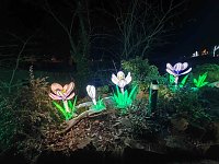 Magische Lichterwelten in Halle Bild: Magische Lichterwelten in Halle
