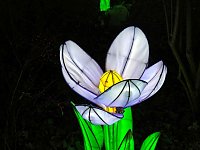 Magische Lichterwelten in Halle Bild: Magische Lichterwelten in Halle