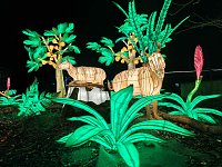 Magische Lichterwelten in Halle Bild: Magische Lichterwelten in Halle