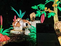 Magische Lichterwelten in Halle Bild: Magische Lichterwelten in Halle