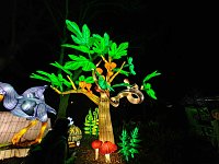 Magische Lichterwelten in Halle Bild: Magische Lichterwelten in Halle