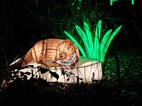 Magische Lichterwelten in Halle Bild: Magische Lichterwelten in Halle