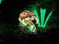 Magische Lichterwelten in Halle Bild: Magische Lichterwelten in Halle