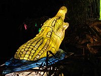 Magische Lichterwelten in Halle Bild: Magische Lichterwelten in Halle