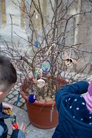 Bild: Fr&uuml;hjahrsputz und Stadt-Verbommeln in Bad Langensalza