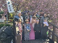 Hanami im Japanischen Garten Bild: Hanami im Japanischen Garten