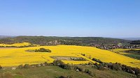 Bild: Gelbe Fr&uuml;hlingsstimmung
