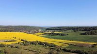 Bild: Gelbe Fr&uuml;hlingsstimmung