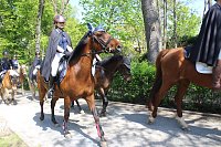 Bild: Impressionen Novalisritt 2025 am Schloss "Sophie von K&uuml;hn"  in Gr&uuml;ningen