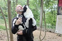 Besuch im Affenpark in Straußberg (Thüringen) Bild: Besuch im Affenpark in Straußberg (Thüringen)