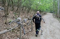 Besuch im Affenpark in Straußberg (Thüringen) Bild: Besuch im Affenpark in Straußberg (Thüringen)