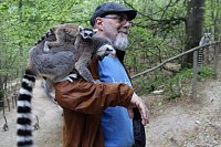 Besuch im Affenpark in Straußberg (Thüringen) Bild: Besuch im Affenpark in Straußberg (Thüringen)