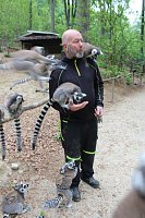 Besuch im Affenpark in Straußberg (Thüringen) Bild: Besuch im Affenpark in Straußberg (Thüringen)