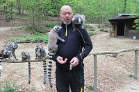 Besuch im Affenpark in Straußberg (Thüringen) Bild: Besuch im Affenpark in Straußberg (Thüringen)