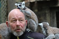 Besuch im Affenpark in Straußberg (Thüringen) Bild: Besuch im Affenpark in Straußberg (Thüringen)