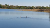 Mössensee im Mecklenburg-Vorpommern Bild: Mössensee im Mecklenburg-Vorpommern