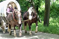 500 Jahre nach dem Bauernkrieg stellen 30 Darsteller in historischen Gewändern den Müntzer-Zug nach und machen Station in Ebeleben Bild: 500 Jahre nach dem Bauernkrieg stellen 30 Darsteller in historischen Gewändern den Müntzer-Zug nach und machen Station in Ebeleben