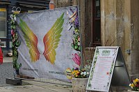 Das "Grüne Innenstadtfest" von Bad Langensalza Bild: Das "Grüne Innenstadtfest" von Bad Langensalza