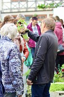 Das "Grüne Innenstadtfest" von Bad Langensalza Bild: Das "Grüne Innenstadtfest" von Bad Langensalza