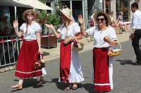 Brunnenfestumzug Bad Langensalza Teil 1 Bild: Brunnenfestumzug Bad Langensalza Teil 1