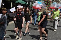 Brunnenfestumzug Bad Langensalza Teil 1 Bild: Brunnenfestumzug Bad Langensalza Teil 1