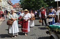 Brunnenfestumzug Bad Langensalza Teil 2 Bild: Brunnenfestumzug Bad Langensalza Teil 2
