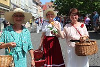 Brunnenfestumzug Bad Langensalza Teil 2 Bild: Brunnenfestumzug Bad Langensalza Teil 2