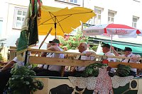 Brunnenfestumzug Bad Langensalza Teil 2 Bild: Brunnenfestumzug Bad Langensalza Teil 2