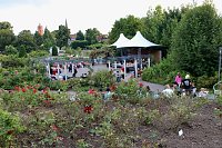 Tolle Stimmung im Rosengarten Bad Langensalza mit Reggae-Klängen Bild: Tolle Stimmung im Rosengarten Bad Langensalza mit Reggae-Klängen