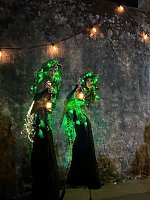 Duo Stellaris Bild: Duo Stellaris