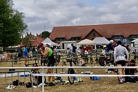 Bild: Triathlon in Sundhausen