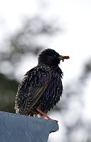 Wunderschöne Tierwelt Bild: Wunderschöne Tierwelt