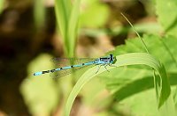 Wunderschöne Tierwelt Bild: Wunderschöne Tierwelt