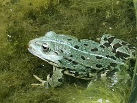 Wunderschöne Tierwelt Bild: Wunderschöne Tierwelt