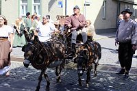 31.Mittelalterstadtfest Bad Langensalza Bild: 31.Mittelalterstadtfest Bad Langensalza