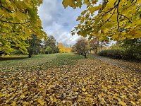 Der Herbst im Park Bild: Der Herbst im Park