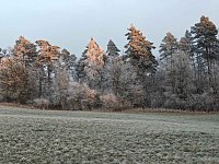 Winterlandschaften Bild: Winterlandschaften