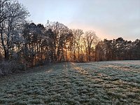 Winterlandschaften Bild: Winterlandschaften
