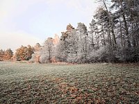 Winterlandschaften Bild: Winterlandschaften